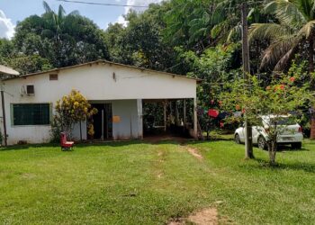 Chácara a venda – Estrada dos japoneses