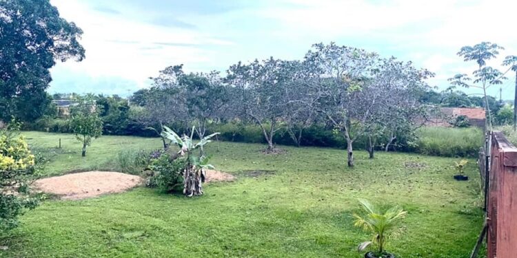 TERRENOS À VENDA NO BAIRRO NOVA ESPERANÇA