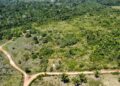 Fazenda de 225 alqueires a 130 km de Porto Velho é oportunidade para investimento e produção rural
