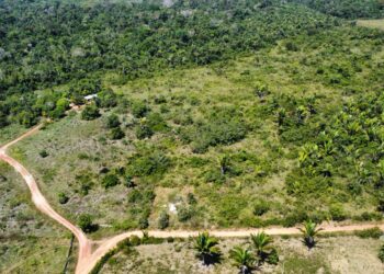 Fazenda de 225 alqueires a 130 km de Porto Velho é oportunidade para investimento e produção rural