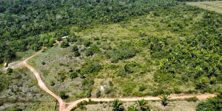 Fazenda de 225 alqueires a 130 km de Porto Velho é oportunidade para investimento e produção rural